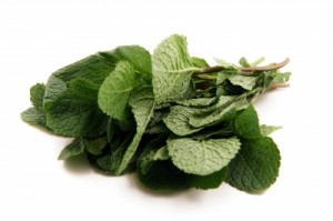 menthe-bio-infusion-poivree-the-tisane-sauvage-cultiver-huiles-essentielles-agoji-vertus La Menthe poivrée bio